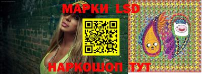 стафф Бердск