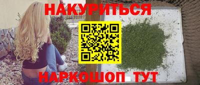 стафф Бердск