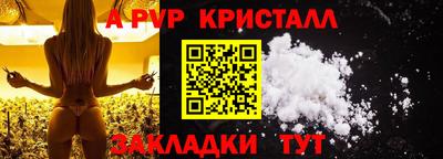 стафф Бердск